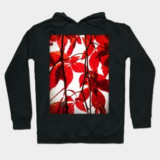 Red Leaves: Brilliant leafy pattern in scarlet and crimson with a canvas look Hoodie